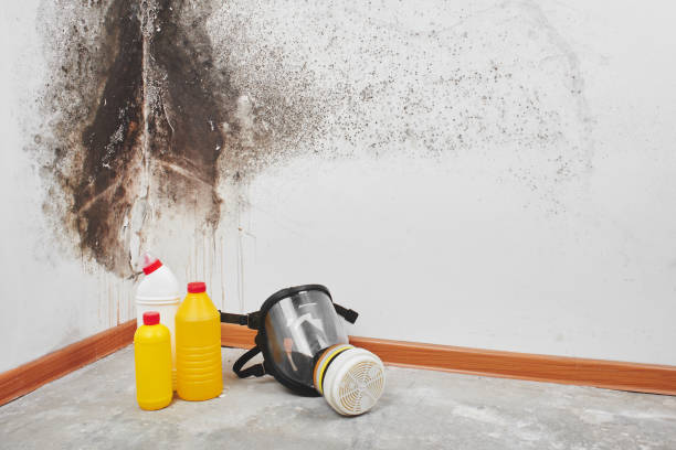 Fire Damage Restoration in Milam, TX