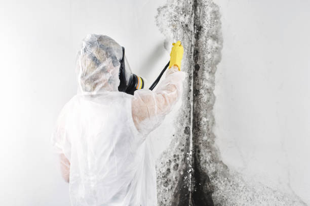 Water damage restoration insurance claims